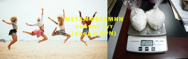 шишки Алзамай
