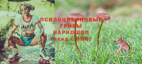 шишки Алзамай