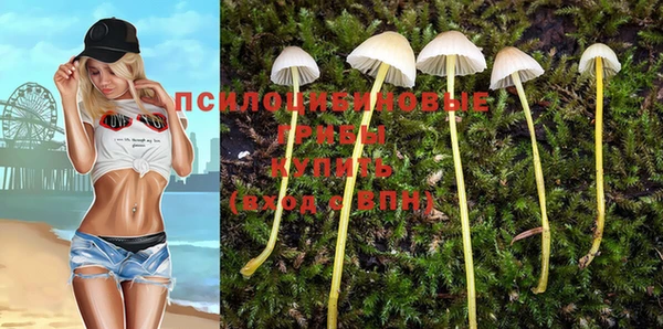 шишки Алзамай
