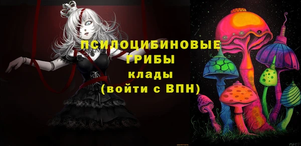 шишки Алзамай