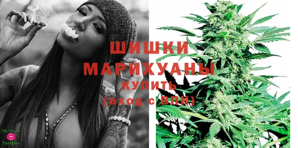 шишки Алзамай